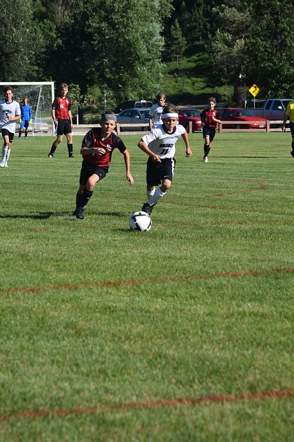 国男篮用一 国男篮用一