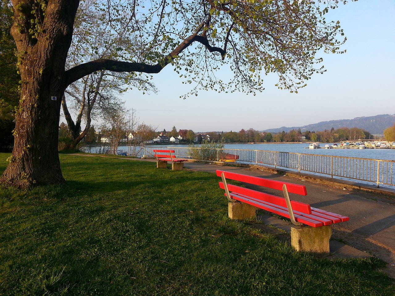 伤缺阵多场 伤缺阵多场