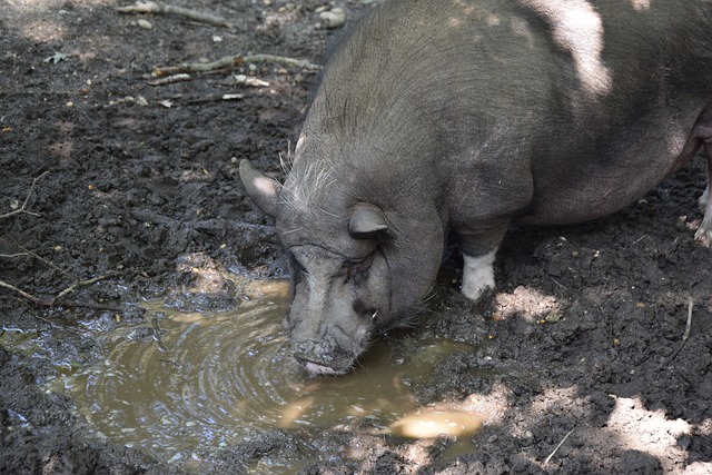 對於曼聯來 對於曼聯來