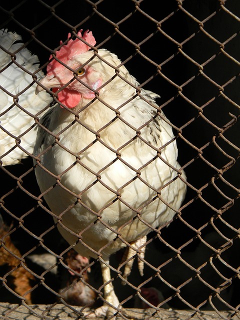德國杯1／8決賽多特蒙德3-2帕德博恩 哈蘭德加時制勝桑喬建功.