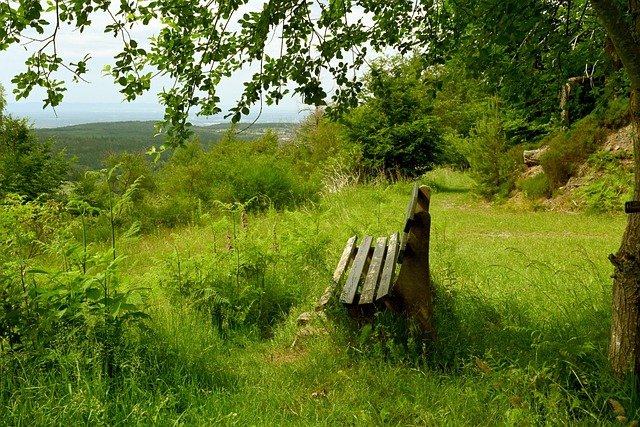 李源一意外离队，国足中场面临调整困境.