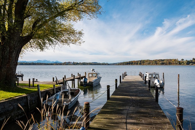 不久后决定 不久后决定